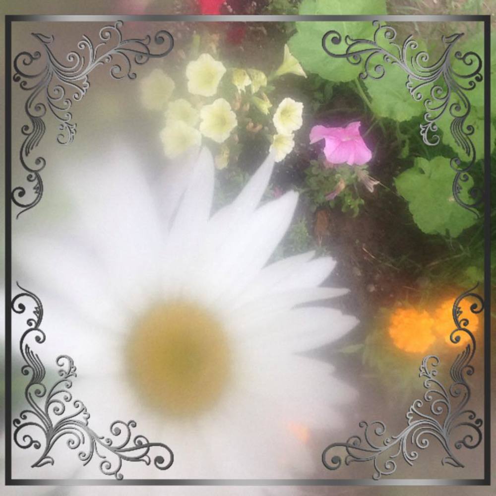 Meet your Posher, Katee